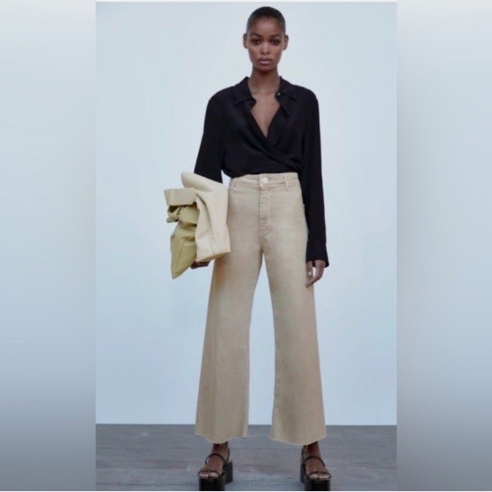 Zara Beige and Blue Pants